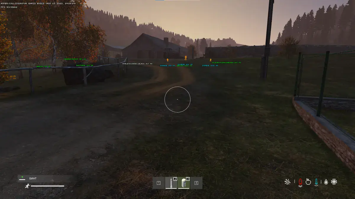 HC — DayZ screenshot 6